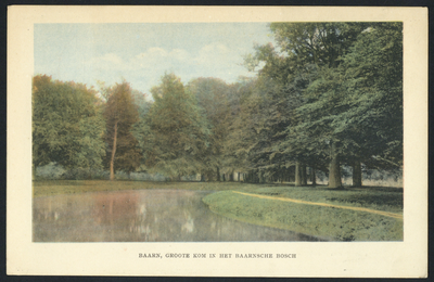 16797 Gezicht op de vijver De Grote Kom in het Baarnsche Bos te Baarn.